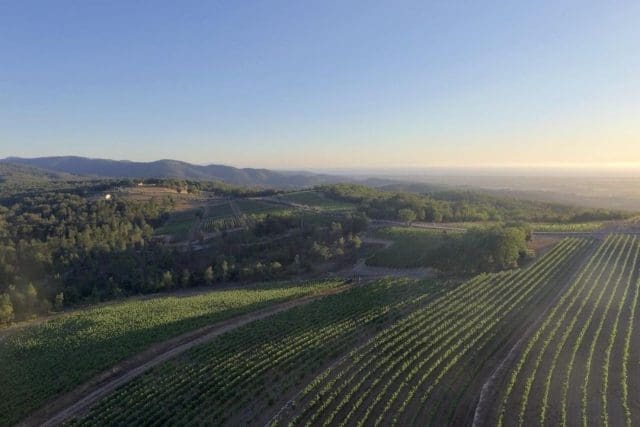 Tenuta Sette Cielie Vineyards in Bolgheri, Toscana