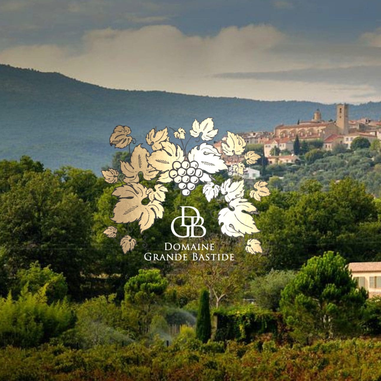 Domaine Grande Bastide producentinfo första sida