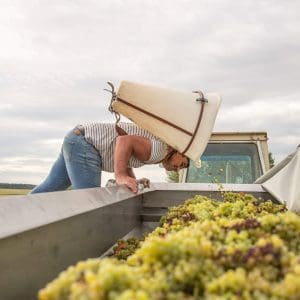 Domaine des Chaumes producentinfo första sidan