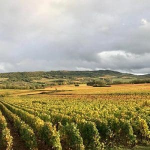 Domaine de Givry producentinfo första sidan