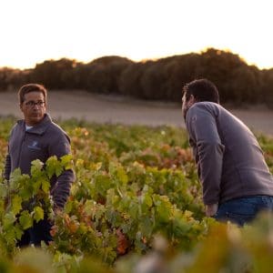 Dominio de Atauta producentinfo sida 1