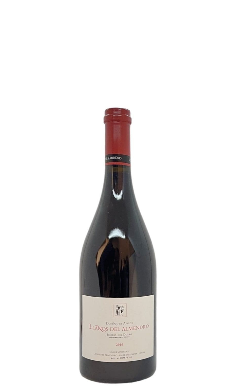 2016 Dominio de Atauta, Llanos del Almendro