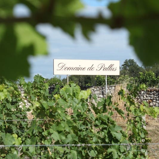 Domain de Pallus producentinfo andra sidan