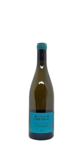 2022 Domaine Cheveau Beaujolais-Village les Pouliches