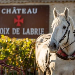 Chateau Croix de Labrie producentinfo första sidan