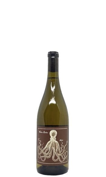 2022 Holus Bolus Roussanne Bien Nacido Vineyard