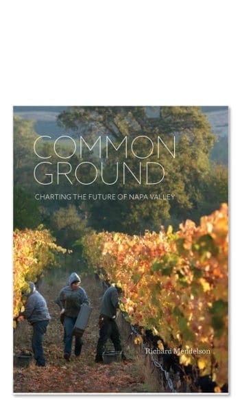 Common Ground (bok)