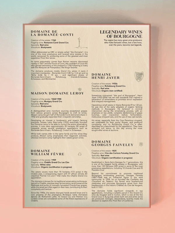 Vinpussel Bourgogne 1000 bitar