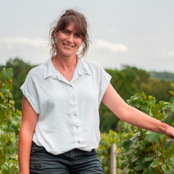Domaine Marion Navoiseau producentinfo andra sidan