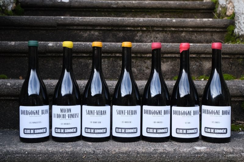 Nya Bourgogne-viner från Clos de Somméré